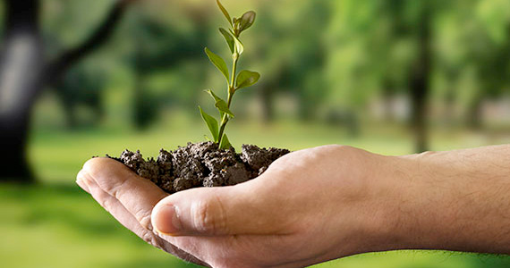 Asesoría Cumplimiento Normativo Medio Ambiental