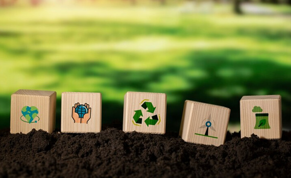 Asesoría y Consultora Medio Ambiente